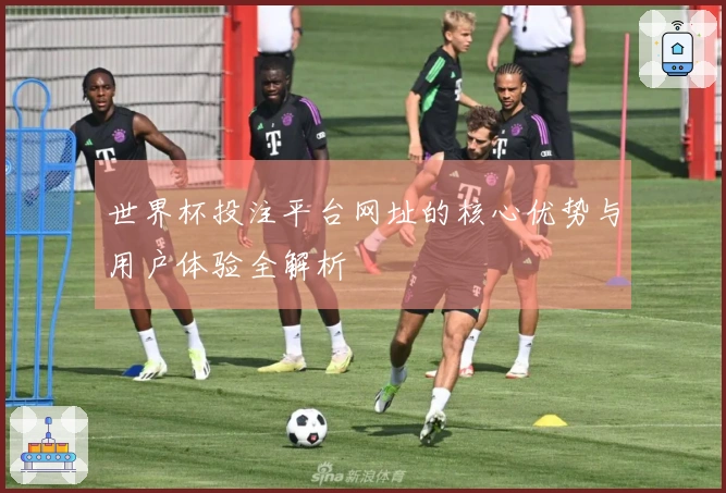 世界杯投注平台网址的核心优势与用户体验全解析