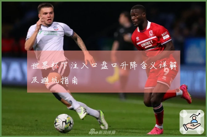 世界杯下注入口盘口升降含义详解及避坑指南