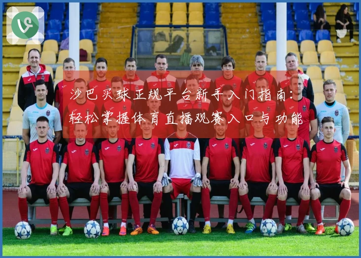 沙巴买球正规平台新手入门指南：轻松掌握体育直播观赛入口与功能