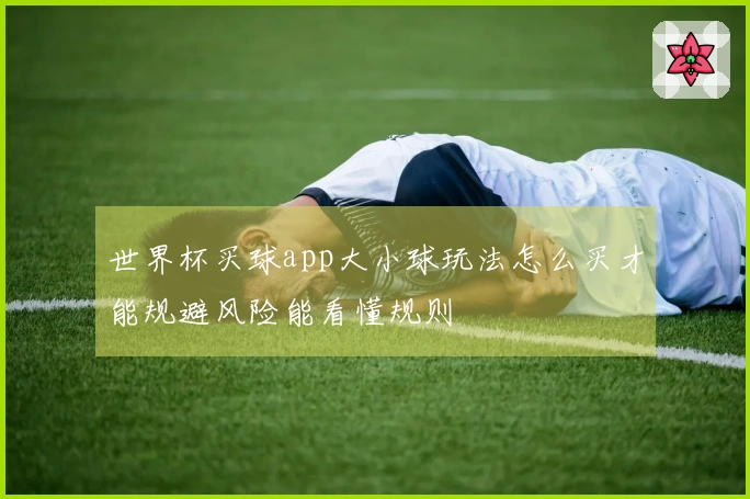 世界杯买球app大小球玩法怎么买才能规避风险能看懂规则