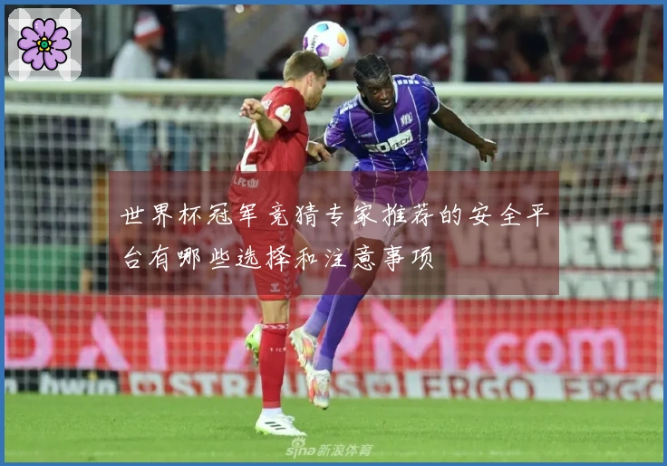 世界杯冠军竞猜专家推荐的安全平台有哪些选择和注意事项