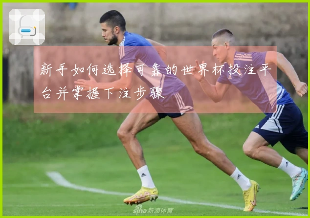 新手如何选择可靠的世界杯投注平台并掌握下注步骤