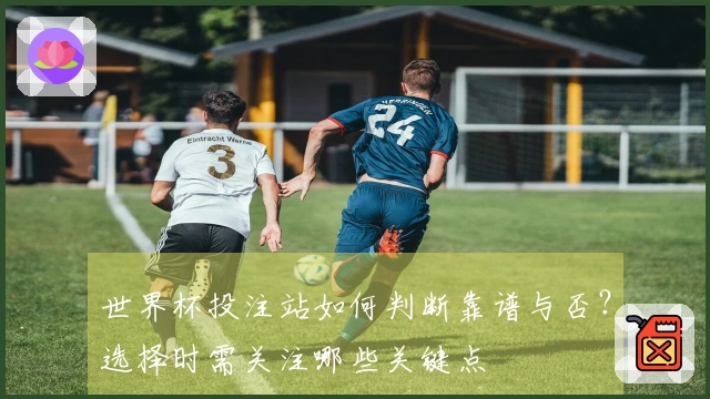 世界杯投注站如何判断靠谱与否？选择时需关注哪些关键点