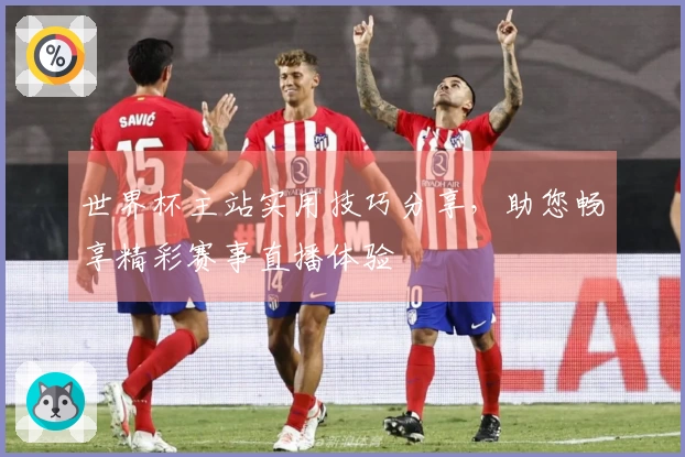 世界杯主站实用技巧分享，助您畅享精彩赛事直播体验