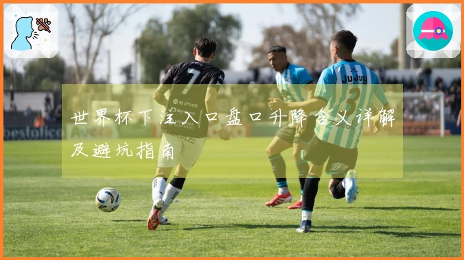 世界杯下注入口盘口升降含义详解及避坑指南