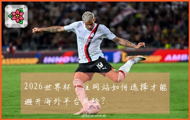 2026世界杯下注网站如何选择才能避开海外平台风险？