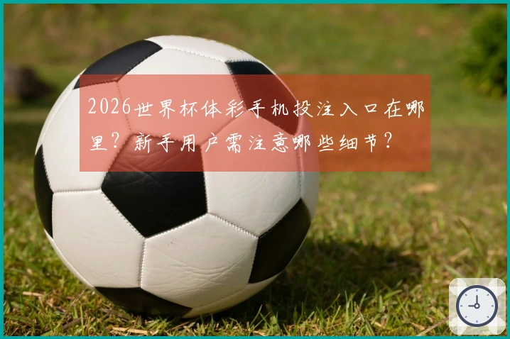 2026世界杯体彩手机投注入口在哪里？新手用户需注意哪些细节？