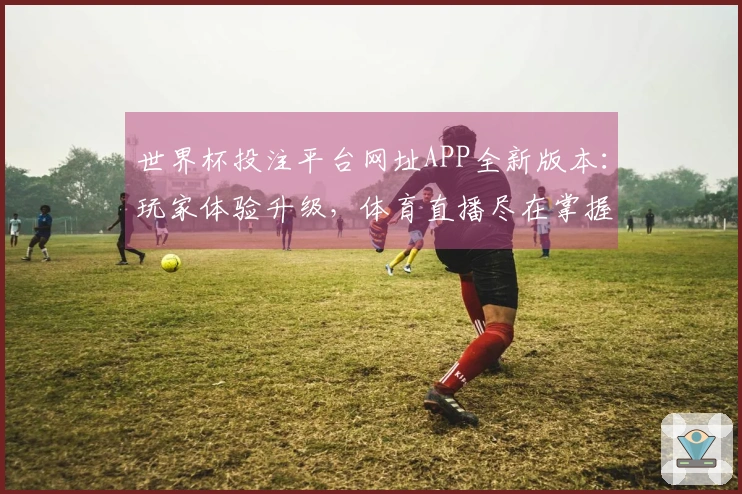 世界杯投注平台网址APP全新版本：玩家体验升级，体育直播尽在掌握