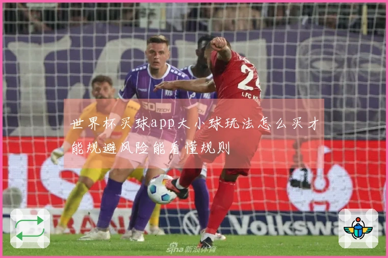 世界杯买球app大小球玩法怎么买才能规避风险能看懂规则