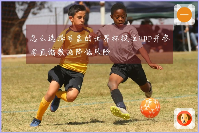怎么选择可靠的世界杯投注app并参考直播数据降低风险