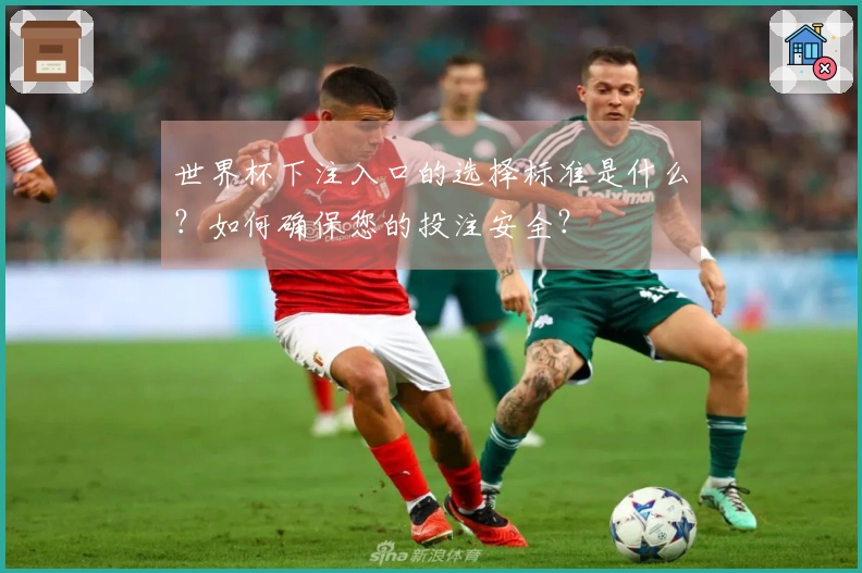 世界杯下注入口的选择标准是什么？如何确保您的投注安全？