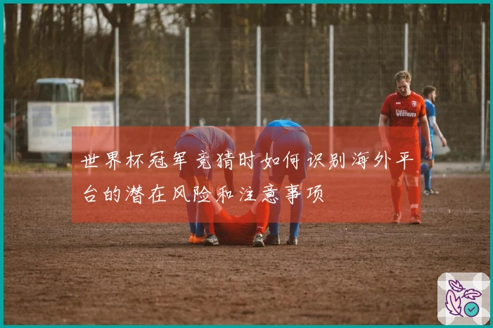 世界杯冠军竞猜时如何识别海外平台的潜在风险和注意事项