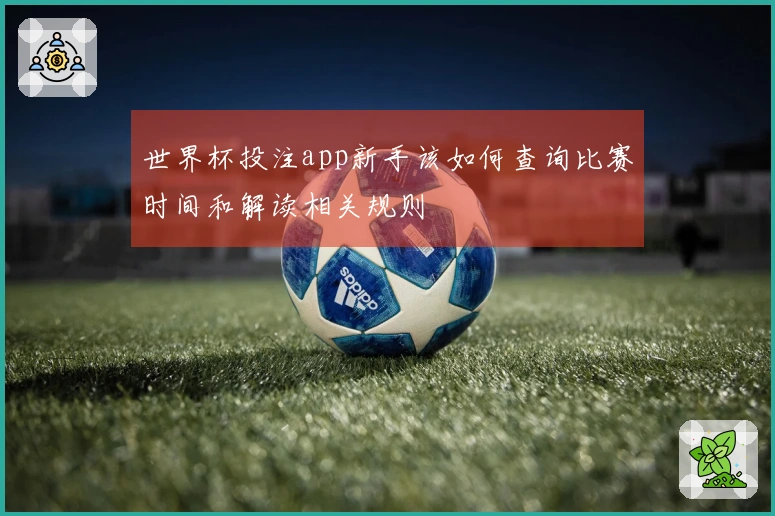 世界杯投注app新手该如何查询比赛时间和解读相关规则