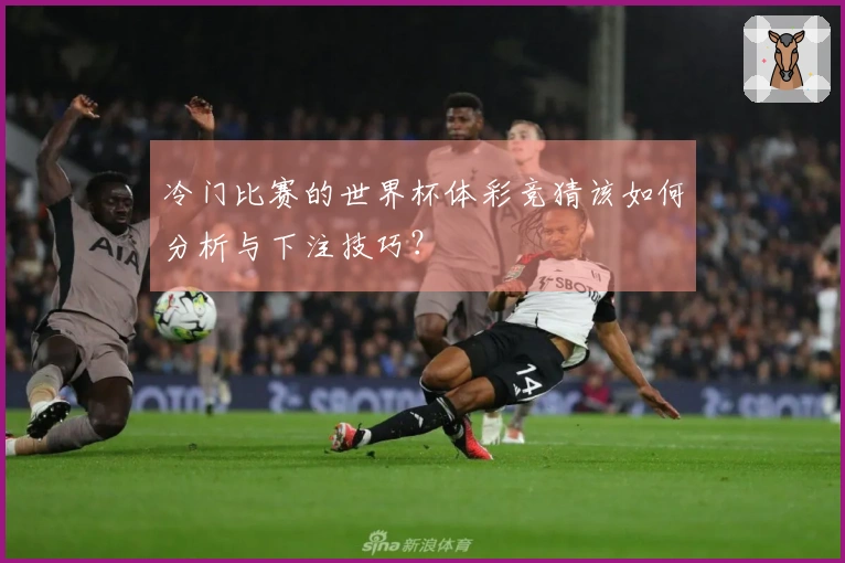 冷门比赛的世界杯体彩竞猜该如何分析与下注技巧？