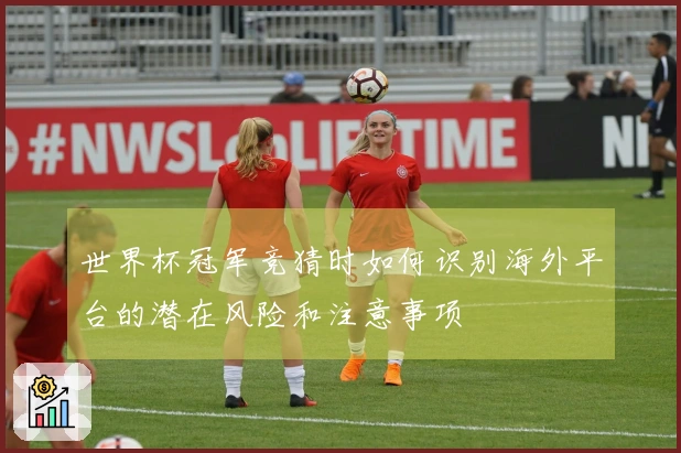 世界杯冠军竞猜时如何识别海外平台的潜在风险和注意事项
